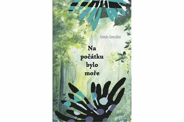 Na počátku bylo moře - Tomás González