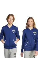 Dětská mikina adidas tmavomodrá barva, s kapucí, s potiskem, JW2390
