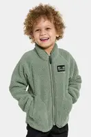 Fleecová mikina Didriksons GIBBS KIDS FULLZIP 2 zelená barva, hladká, 505577