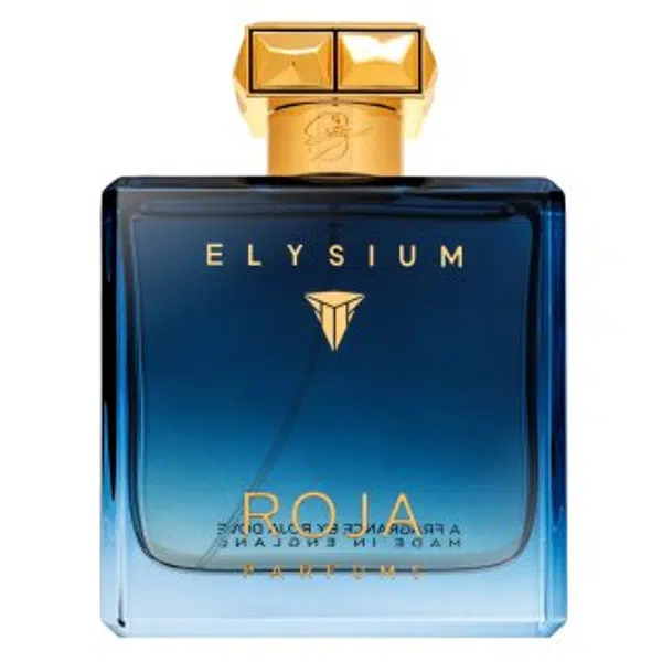 Roja Parfums Elysium Pour Homme parfémovaná voda pre mužov 100 ml