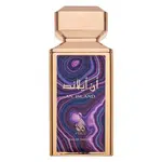 Risala An Island parfémovaná voda pre mužov 100 ml