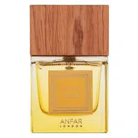 Anfar Retro Wood čistý parfém unisex 100 ml