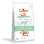 Calibra Dog Life Junior Large Breed Chicken 12 kg