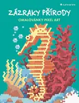 Omalovánky Pixel Art Zázraky přírody, Geremiaová Daniela