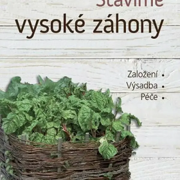 Stavíme vysoké záhony (Defekt) - Ilse Wrbka-Fuchsig, Monika Biermaier