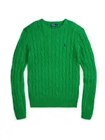 Polo Ralph Lauren Sveter  námornícka modrá / zelená