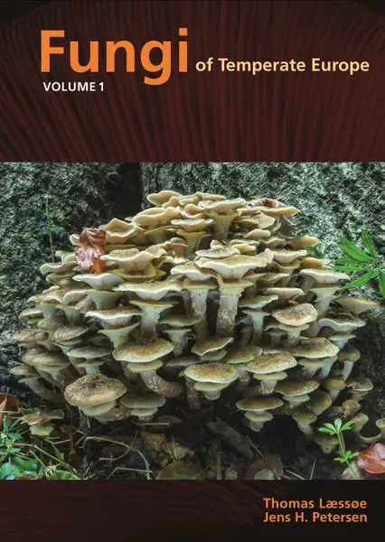 Fungi of Temperate Europe - Jens H. Petersen, Thomas LÃ¦ssÃ¸e