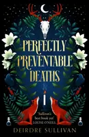 Perfectly Preventable Deaths - Deirdre Sullivan