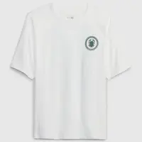 GAP Dětské tričko & DC Blue Beetle - Kluci