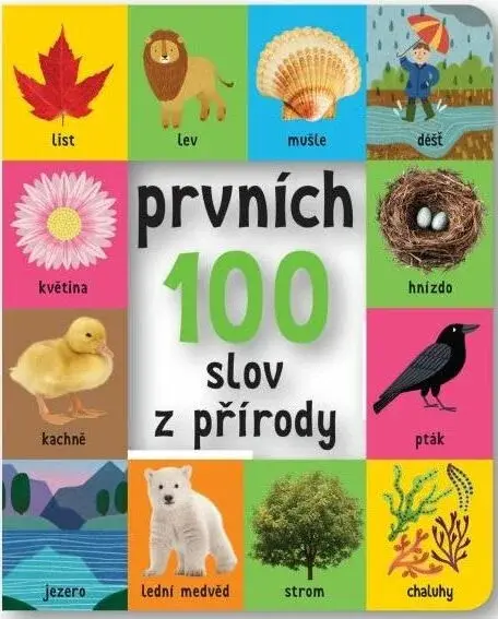 Prvních 100 slov z přírody - Roger Priddy