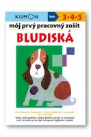 Môj prvý pracovný zošit Bludiská - Toshihiko Karakida, Yoshiko Murakami, Giovanni K. Moto