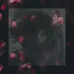 Moucha - Ladislav Petrecký