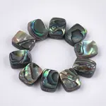 Abalone Shell/Paua Shell Beads