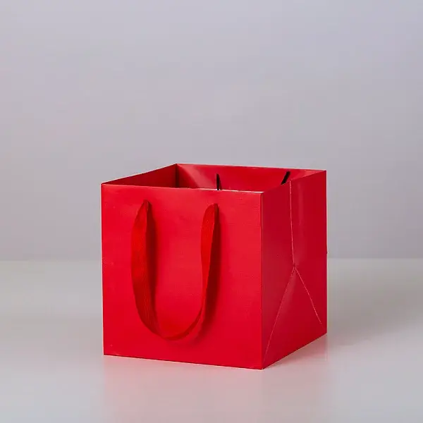 Solid Color Kraft Paper Gift Bags with Ribbon Handles