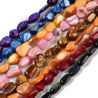 Natural Freshwater Shell Dyed Beads Strands