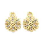 Brass Micro Pave Clear Cubic Zirconia Charms