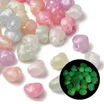 Luminous Transparent Acrylic Pendants