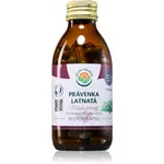 Salvia Paradise Pravénka latnatá kapsuly na podporu imunitného systému 120 cps
