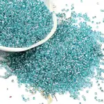 Baking Paint Silver Lined Glass Seed Beads