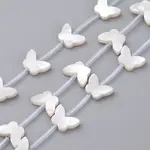 Natural White Shell Mother of Pearl Shell Beads