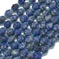 Natural Blue Spot Jasper Beads Strands