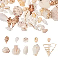 Mixed Shell Beads