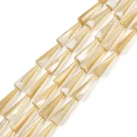 Natural Trochus Shell Beads Strands