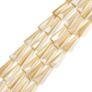 Natural Trochus Shell Beads Strands