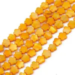 Natural Freshwater Shell Dyed Beads Strands