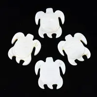 Natural Freshwater Shell Cabochons