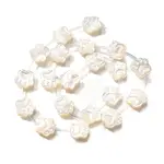 Natural White Shell Beads