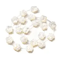 Natural White Shell Beads