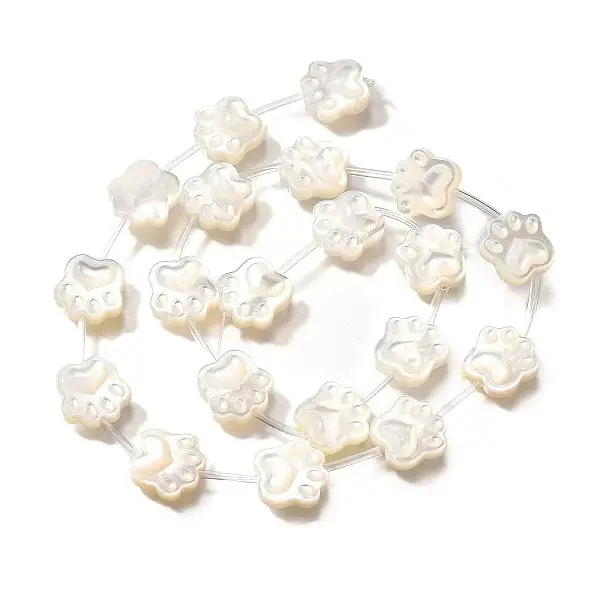 Natural White Shell Beads