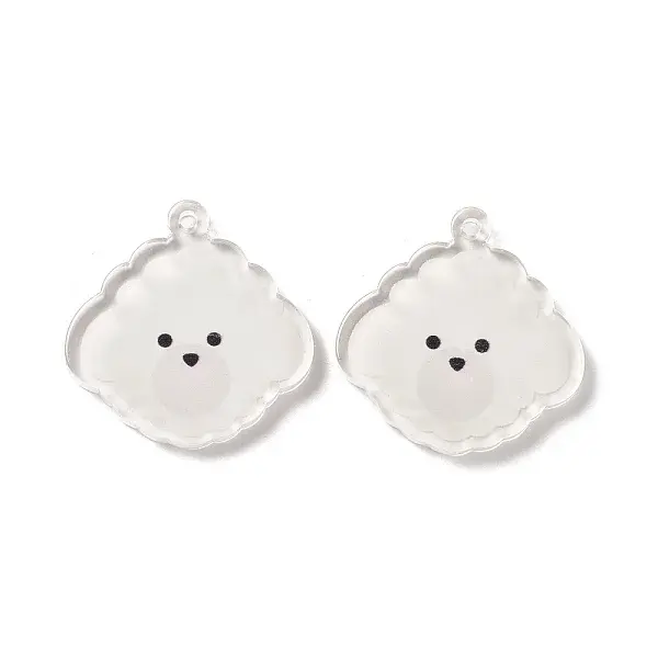 Transparent Acrylic Pendants