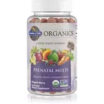 Garden of Life Mykind Organics Prenatal Multi žvýkací měkké tobolky pro ženy těhotné, kojící nebo plánující těhotenství příchuť Organic Berry 120 ks