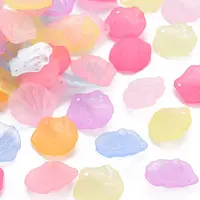 Transparent Frosted Acrylic Pendants