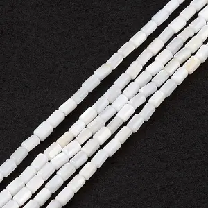 Natural Freshwater Shell Dyed Beads Strands