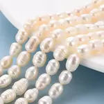 Natural Cultured Freshwater Pearl Beads Strands