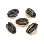 Electroplated Cowrie Shell Beads