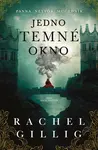 Jedno temné okno (poškozená) - Rachel Gillig