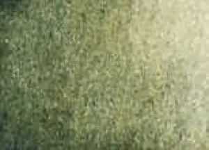 Akvarelová barva DS 15ml – 109 Undersea Green