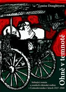 Ohně v temnotě (poškozená) - Louise Doughtyová