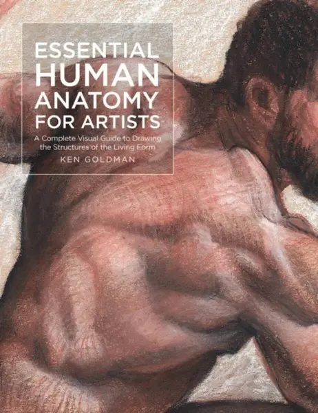 Essential Human Anatomy for Artists - Ken Goldman