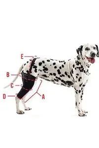 Bandáž rehab na koleno pro psa Kruuse XXS pravá