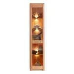 Carryhome VITRÍNA, jádrový buk, jádrový buk, 43/203/40 cm