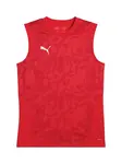 PUMA Dres 'teamCUP'  červená / biela