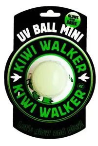 Hračka pes Glow Ball mini plovoucí TPR  Kiwi