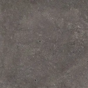 Dlažba Emil Mapierre noir ancienne 60x60 cm mat ELRS