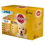 Pedigree Kapsičky pre psov JUNIOR v želé 12 x 100 g