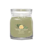 Yankee Candle Aromatická svíčka Signature sklo střední Sage & Citrus 368 g